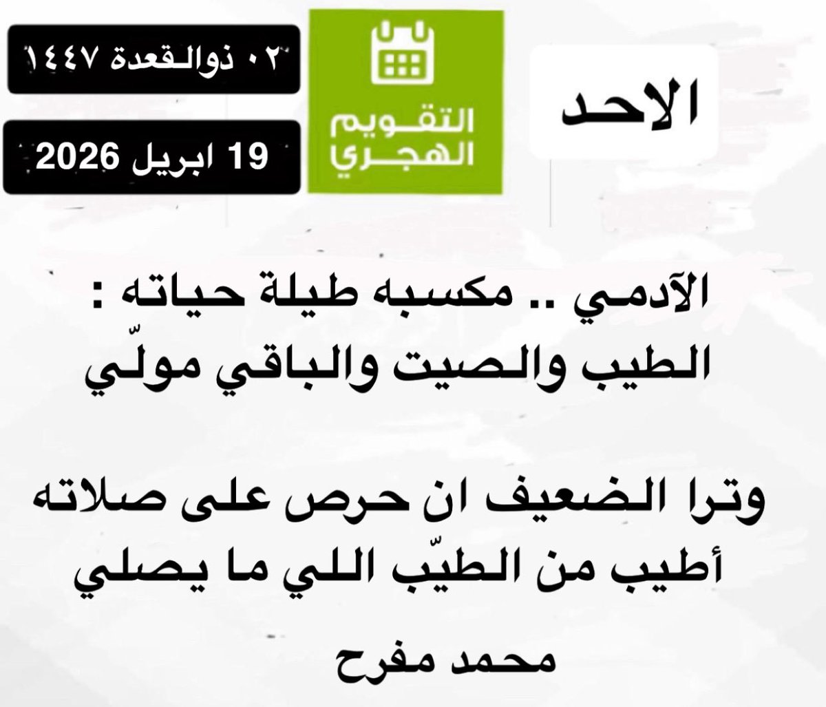 أبو راشد tweet media