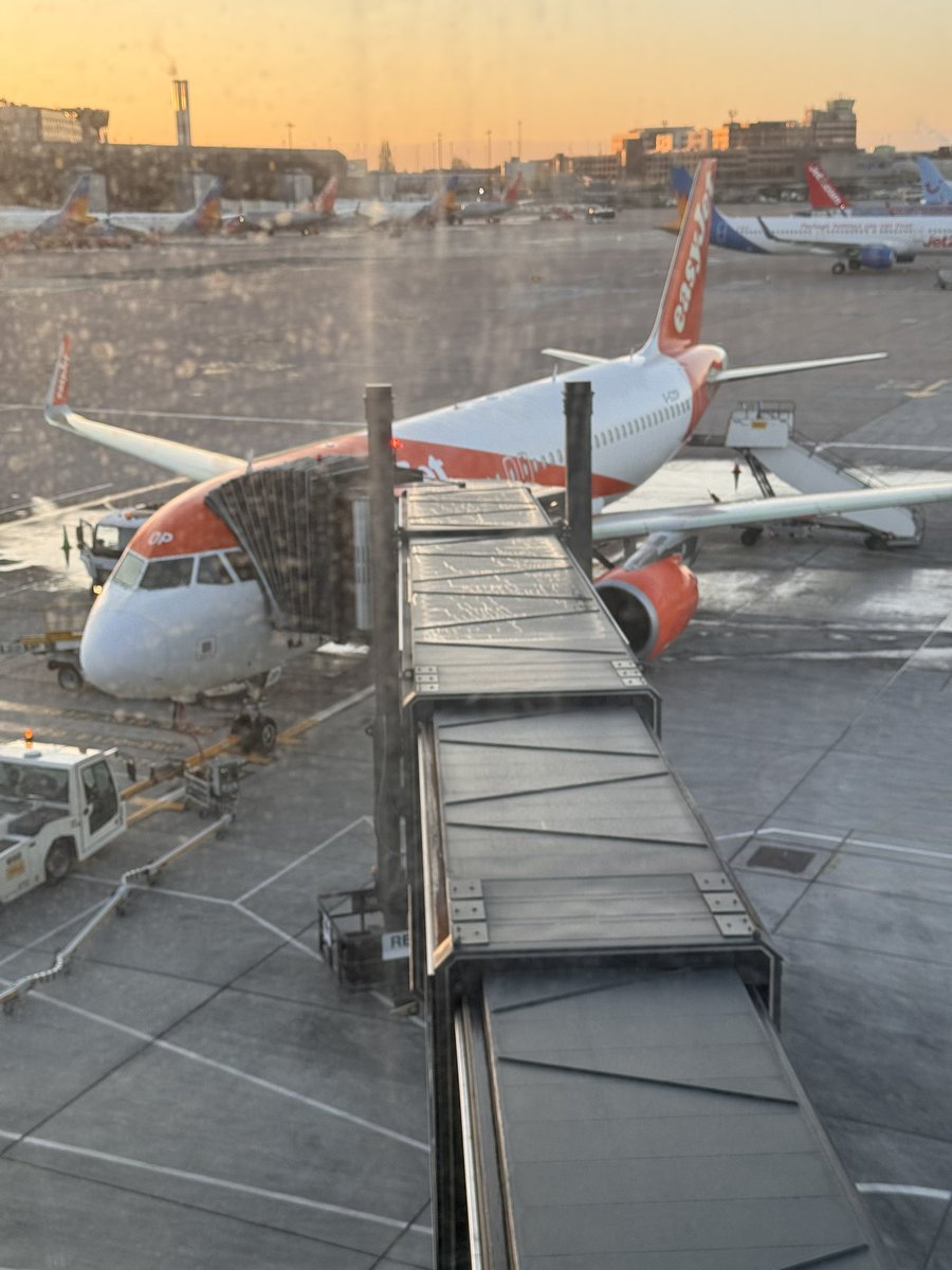 Dan Abraham tweet media