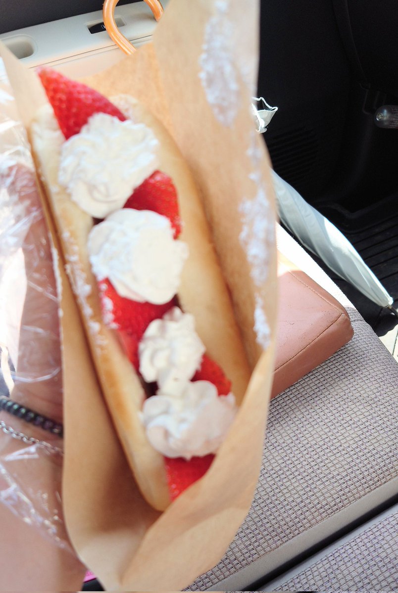 ねこじた tweet media