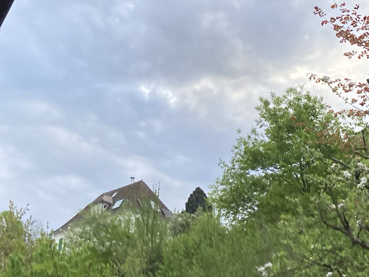 raeubercat tweet media