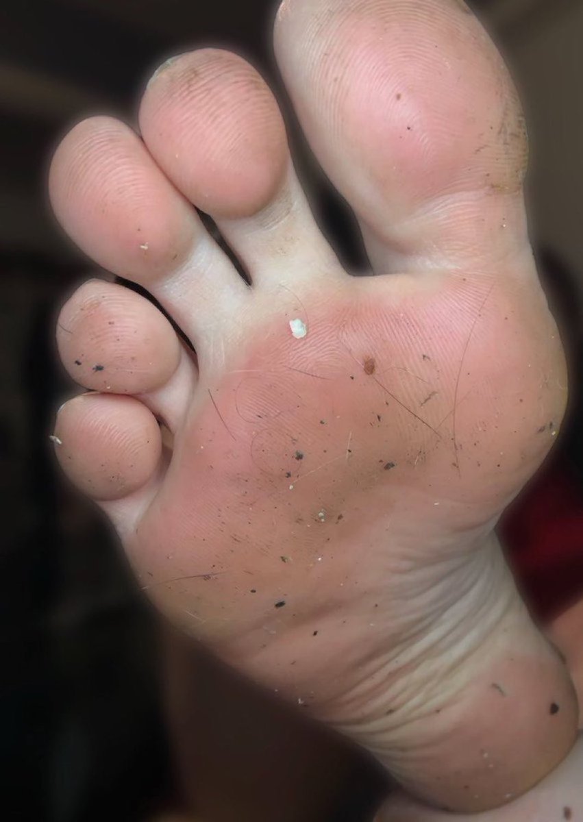 Kürt Liseli Türbanlı Sahibe😋🧕🏻 tweet media