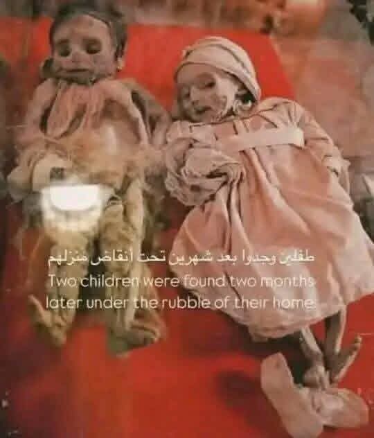 أحمد شراب 🇵🇸 tweet media