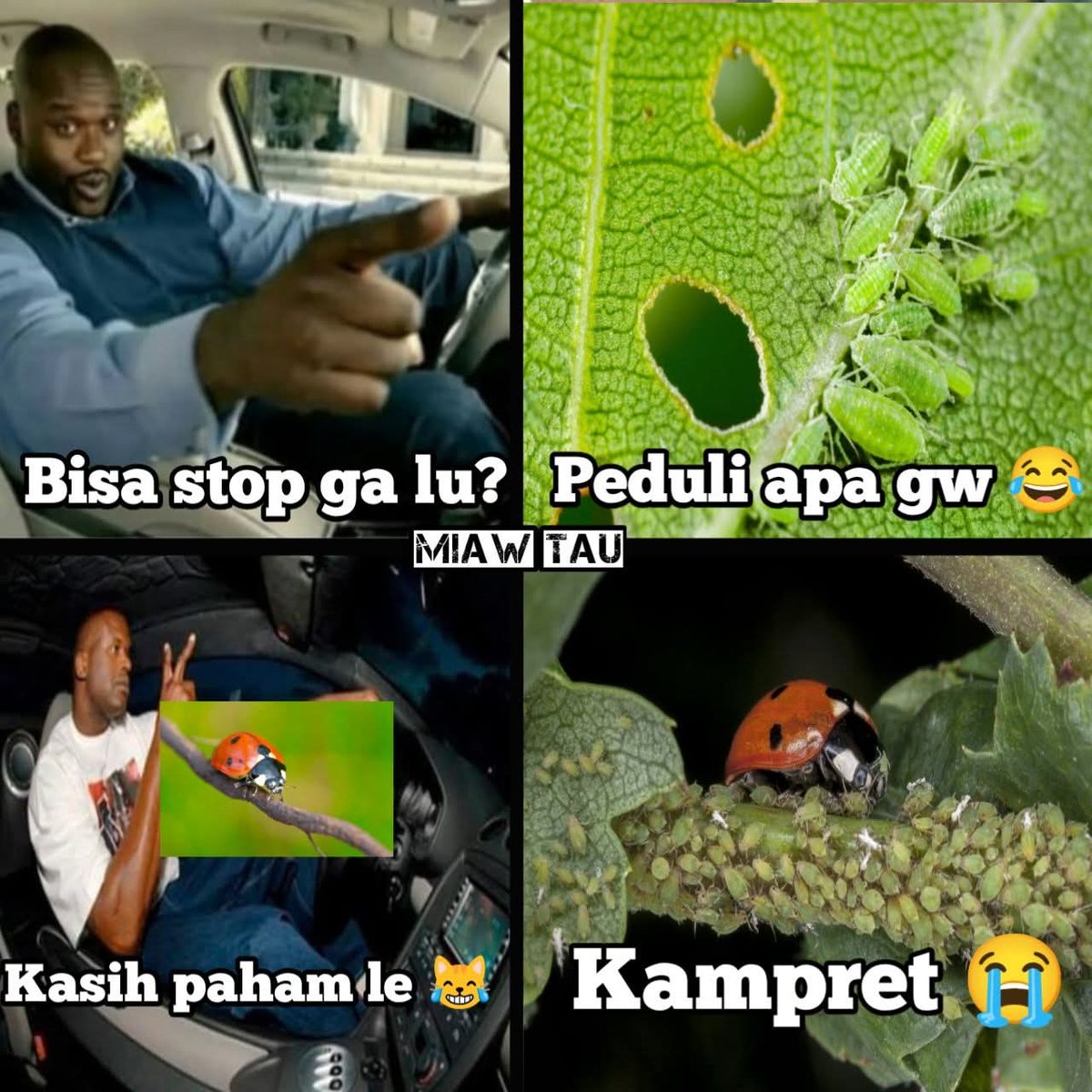 Indonesian Poop Base tweet media