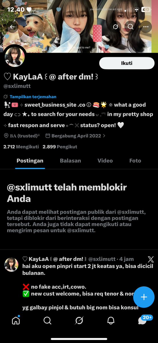 san tweet media