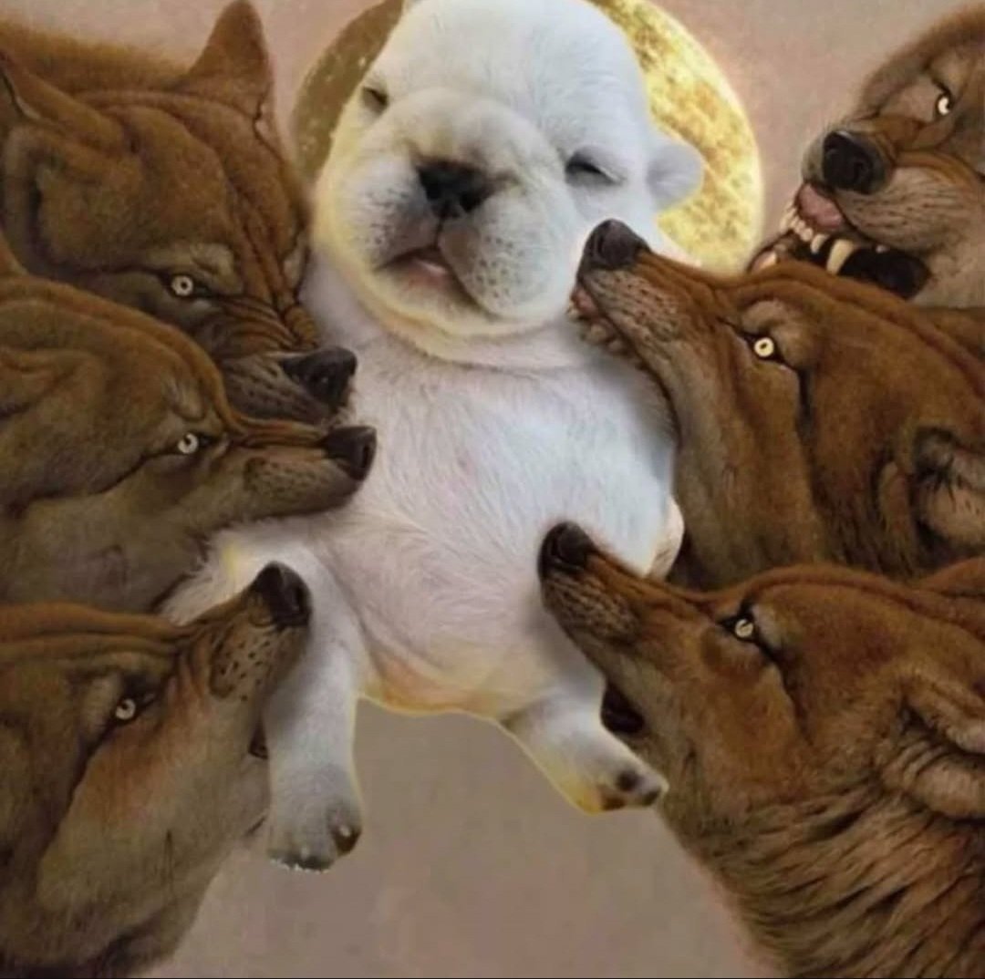 Saddy :( tweet media