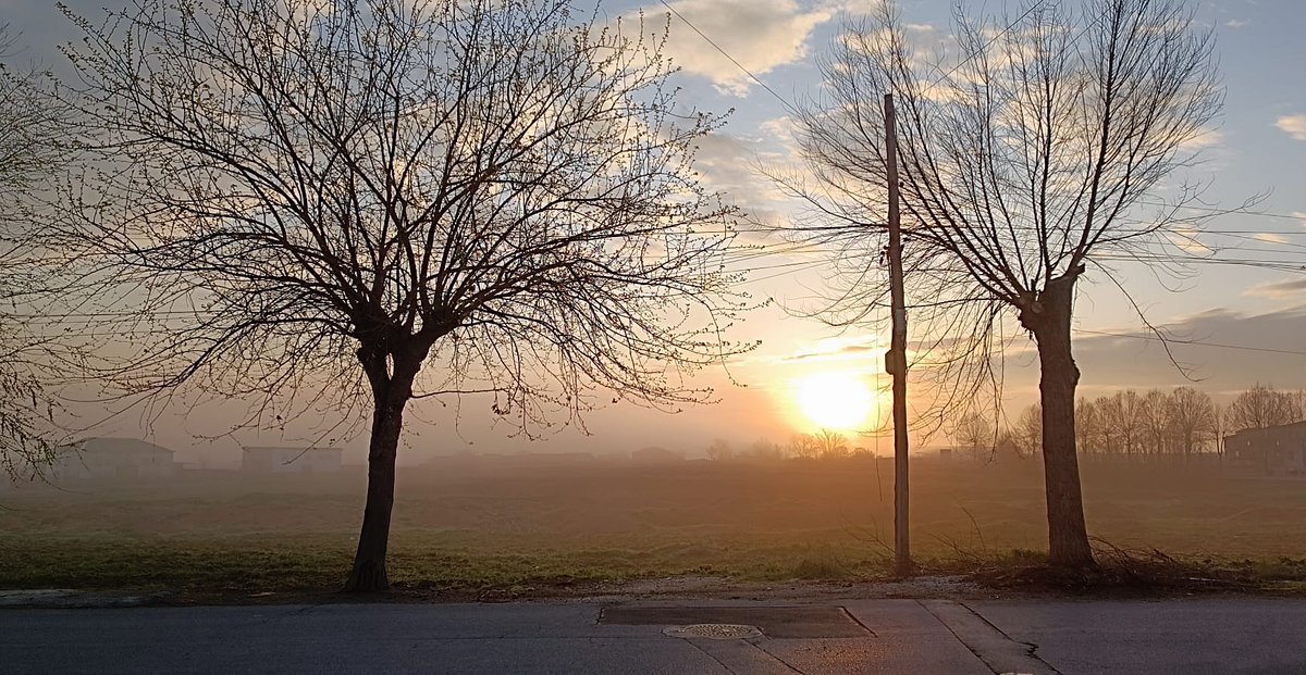 enri 🐕‍🦺🌹🏳️‍🌈🇵🇸 tweet media