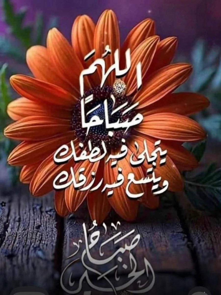 ساره الليثي tweet media