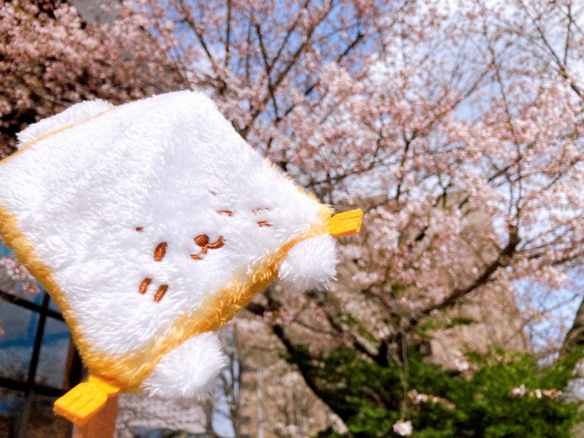 おくるみ tweet media