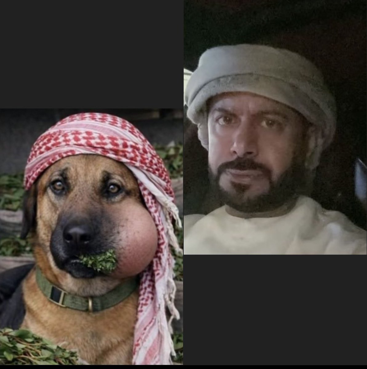 طلال بن فهد🇸🇦 tweet media