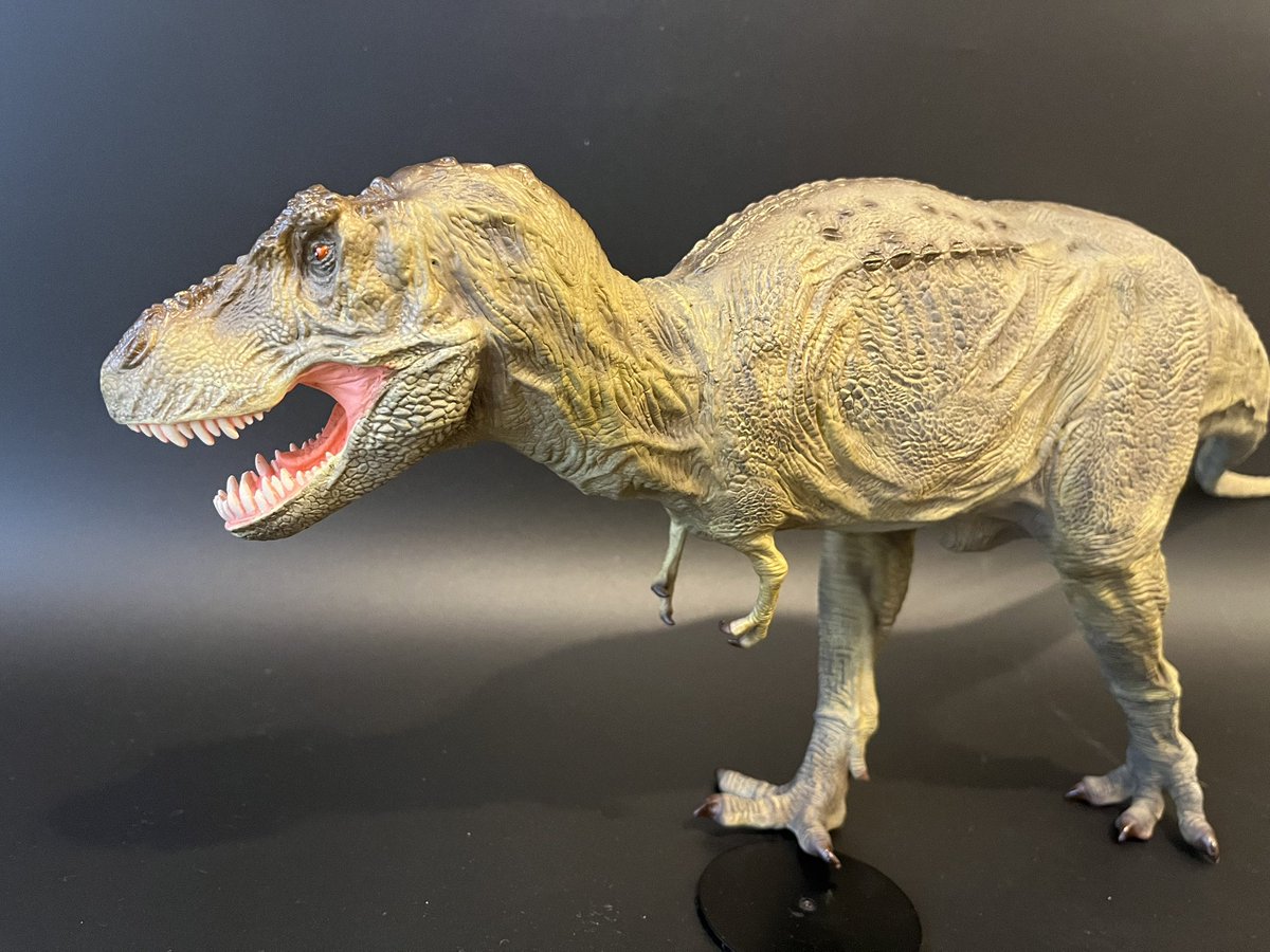 kemur（ケムール） tweet media