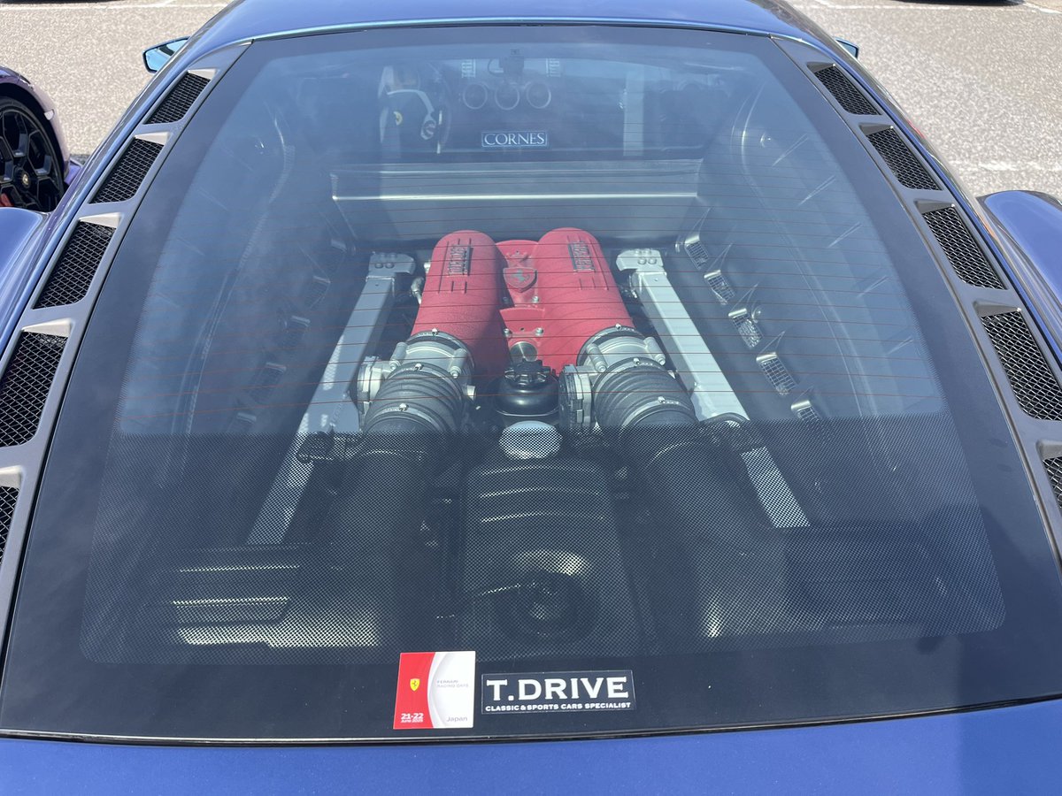 tatsuya_s_0113's tweet image. ちょと寄り道🚗
凄いのおるッ✨

Audiでシーサイドライン走るの初めてやわっ！

#Audi
#S5
#田ノ浦
#シーサイドライン
#弥彦スカイライン