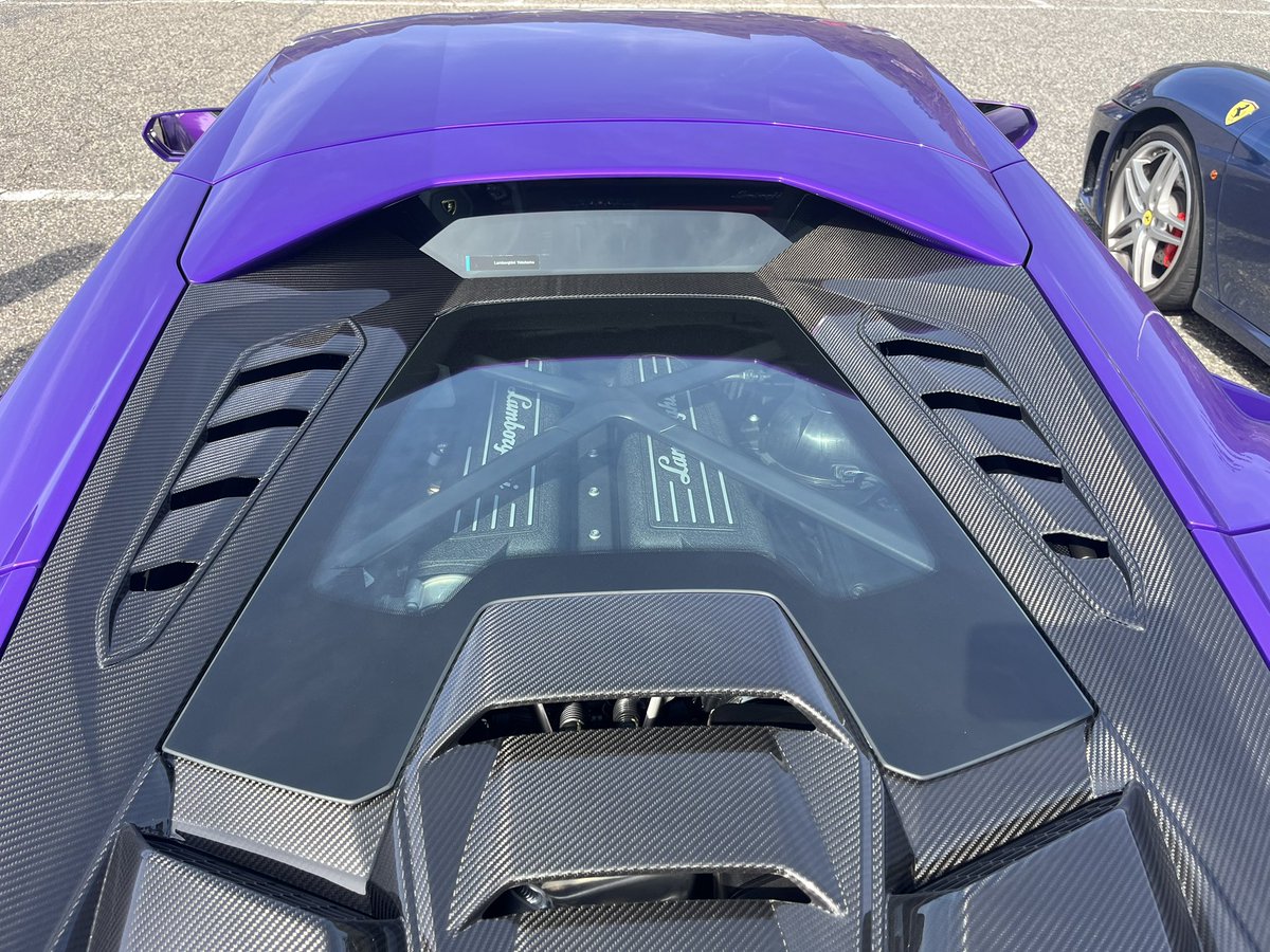 tatsuya_s_0113's tweet image. ちょと寄り道🚗
凄いのおるッ✨

Audiでシーサイドライン走るの初めてやわっ！

#Audi
#S5
#田ノ浦
#シーサイドライン
#弥彦スカイライン