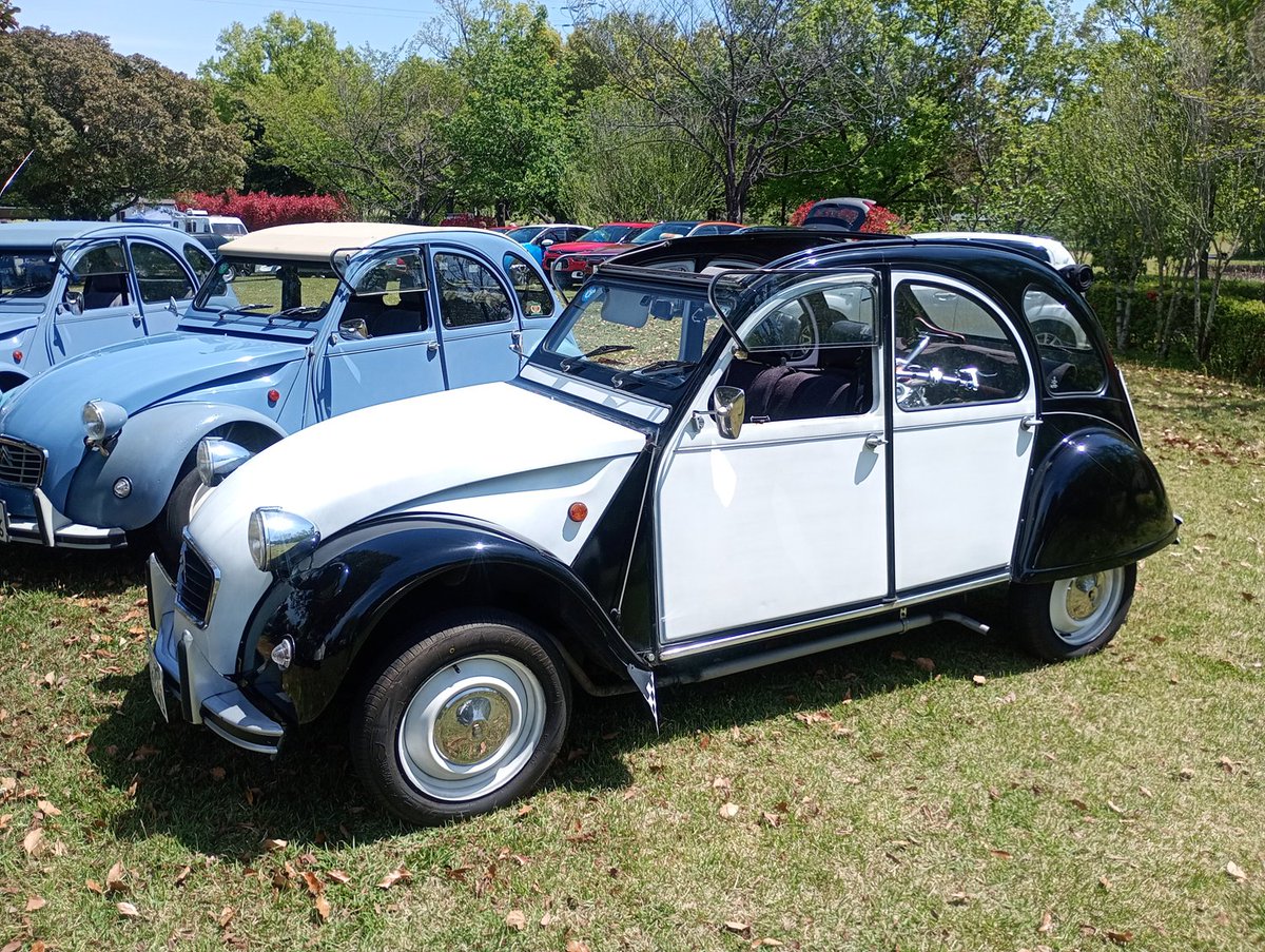 ファーストポディウム tweet media