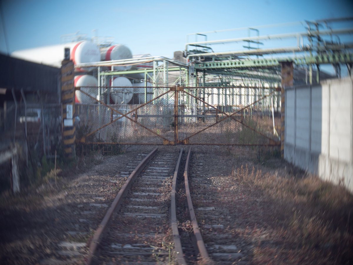 photo_kenji's tweet image. #snap 
#snapshot 
#スナップ 
#toylens 
#トイレンズ 
#slrmagic