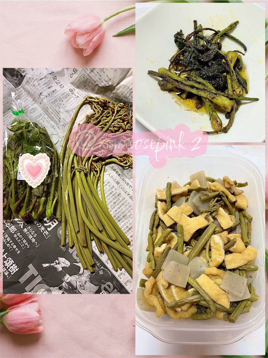 cao🌸☃️🖤 tweet media