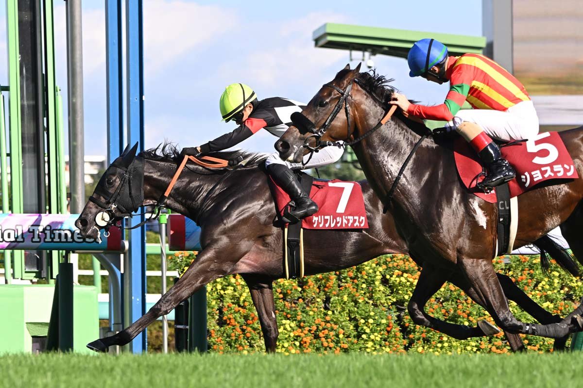 海賊王女🏴‍☠️✨ tweet media