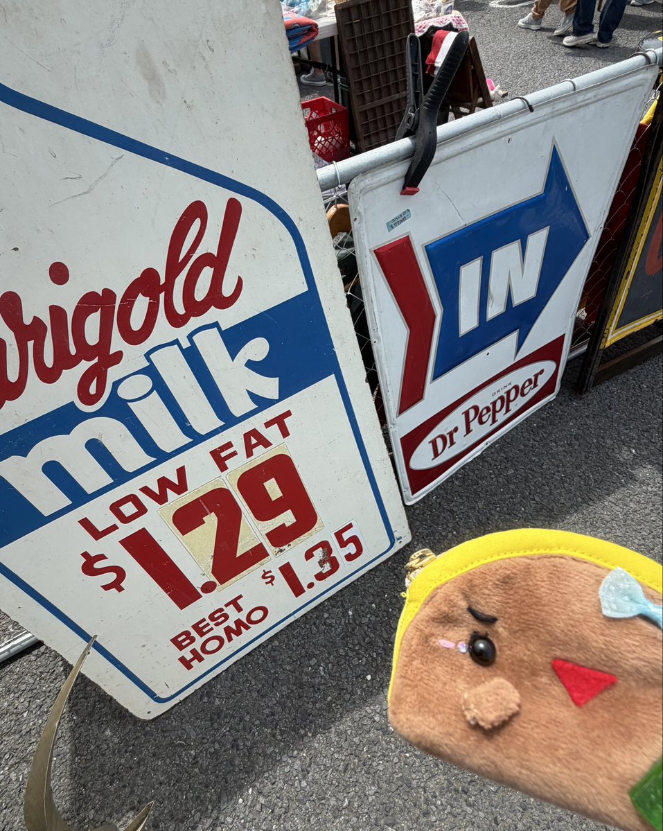 mieeのせかい🗺️ tweet media