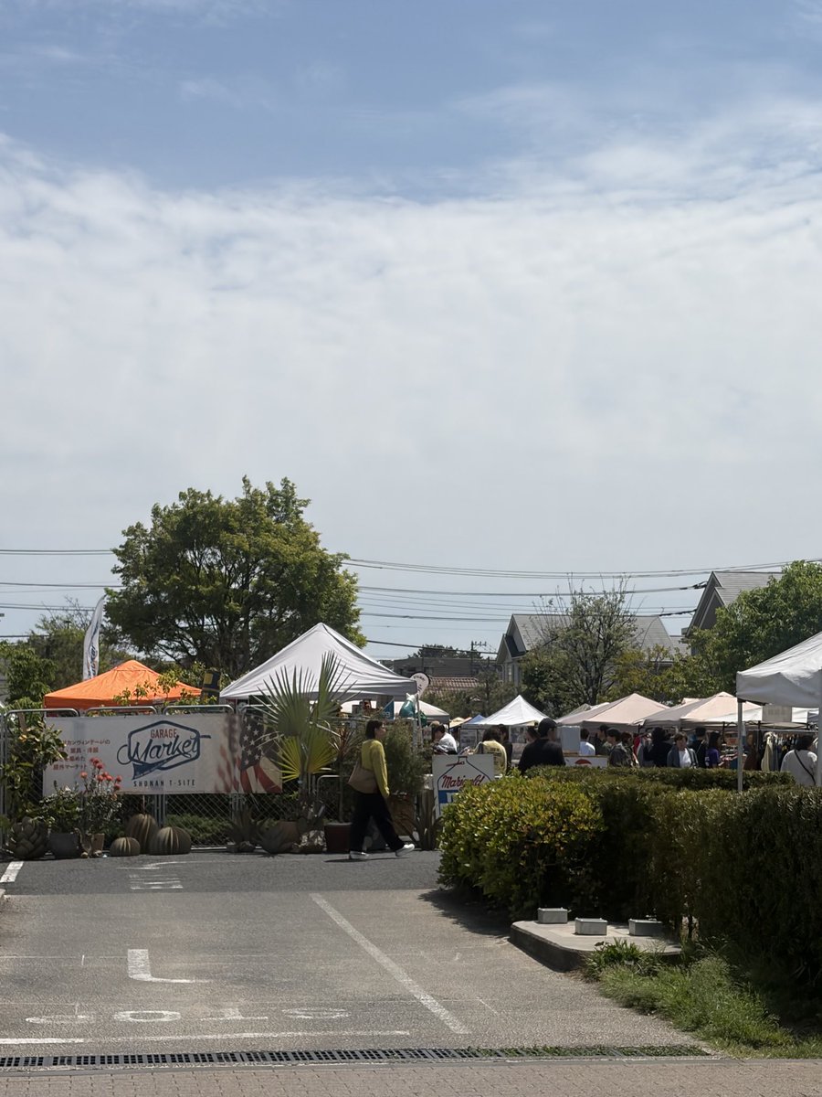 mieeのせかい🗺️ tweet media