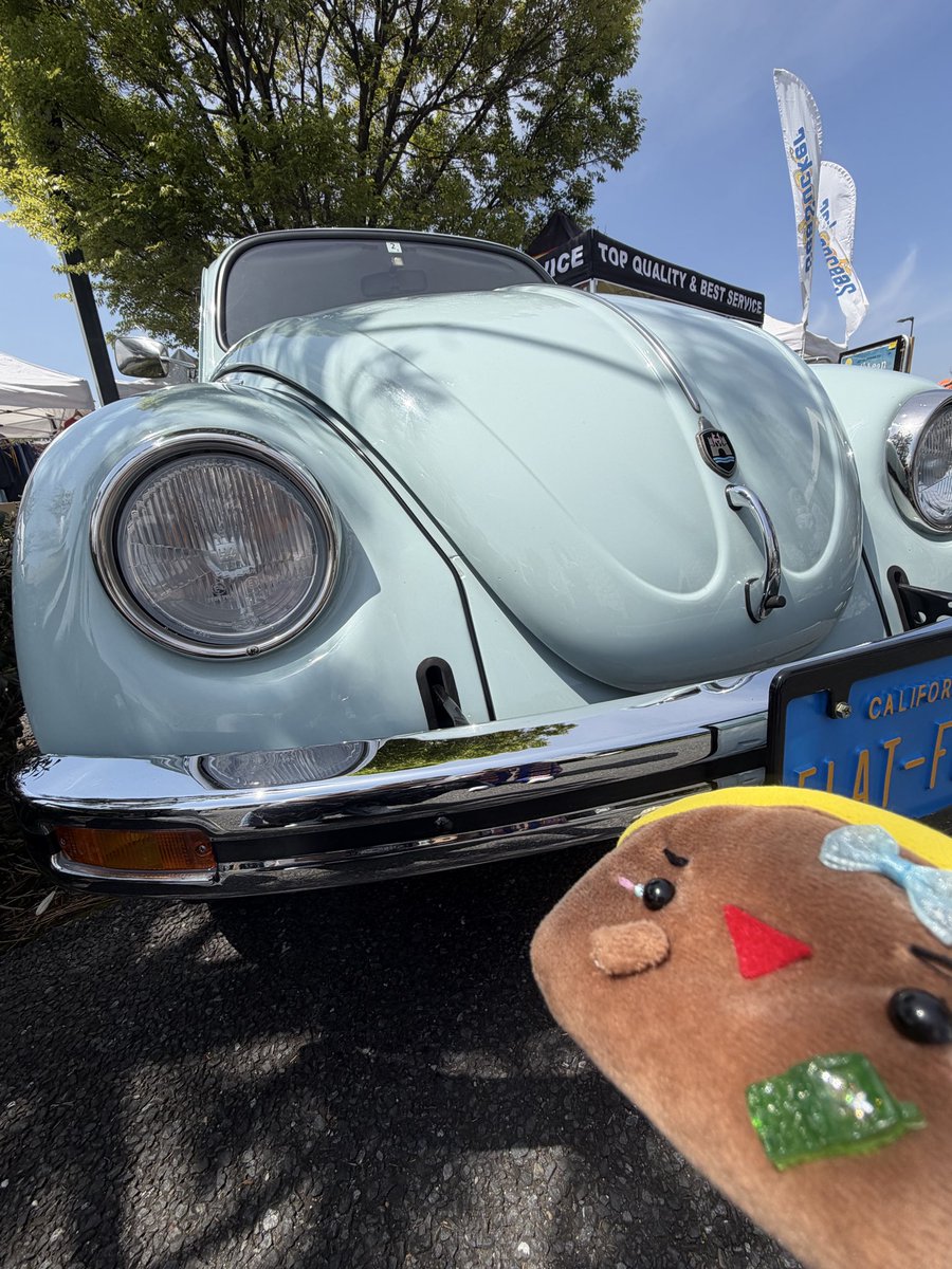 mieeのせかい🗺️ tweet media