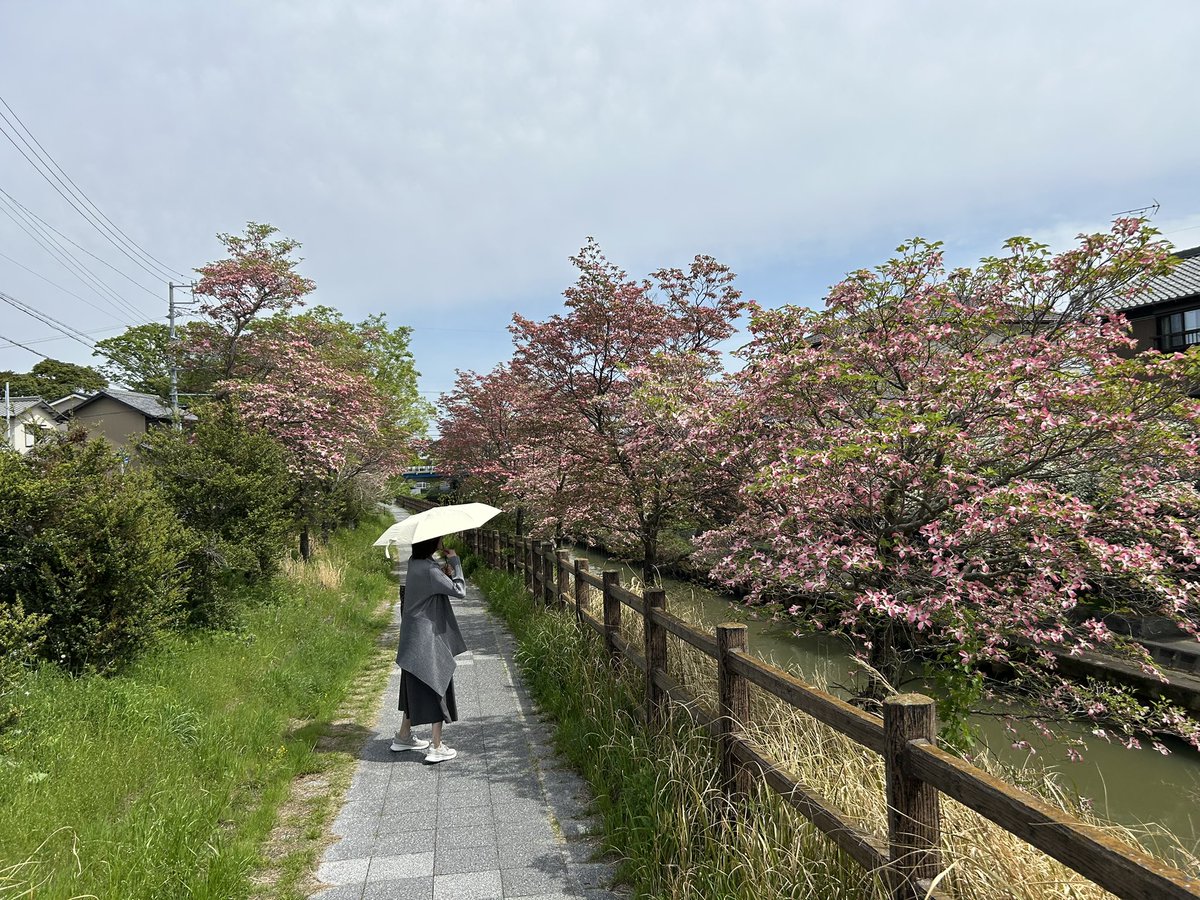 かんち＠握力おじさん。 tweet media