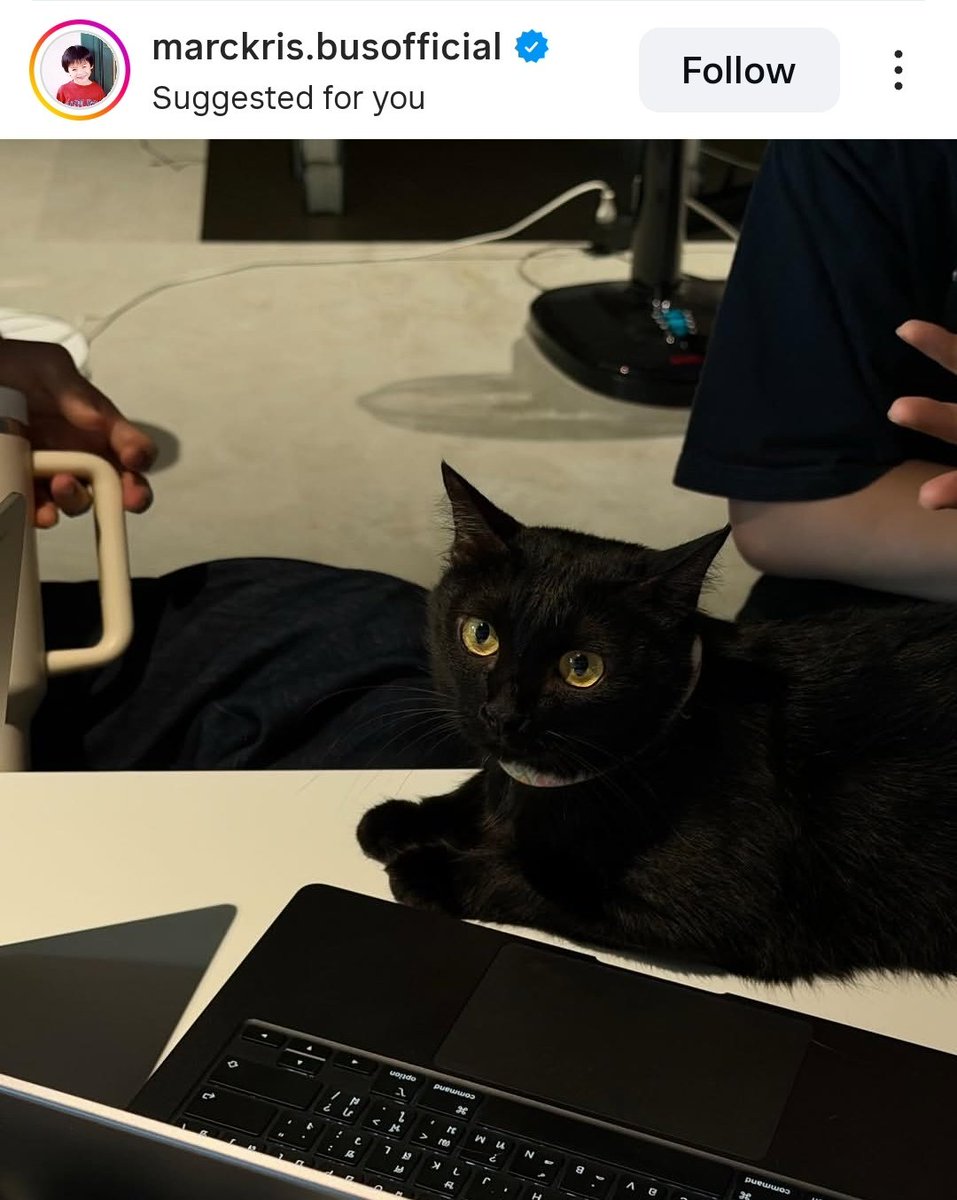 𝐩𝐚𝐫𝐢𝐬 🦋 tweet media