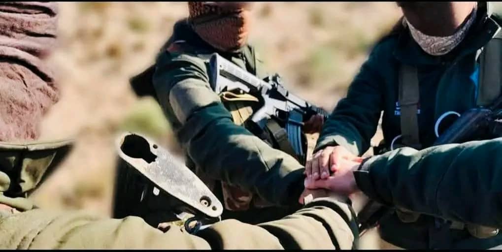 محمدشعیب tweet media