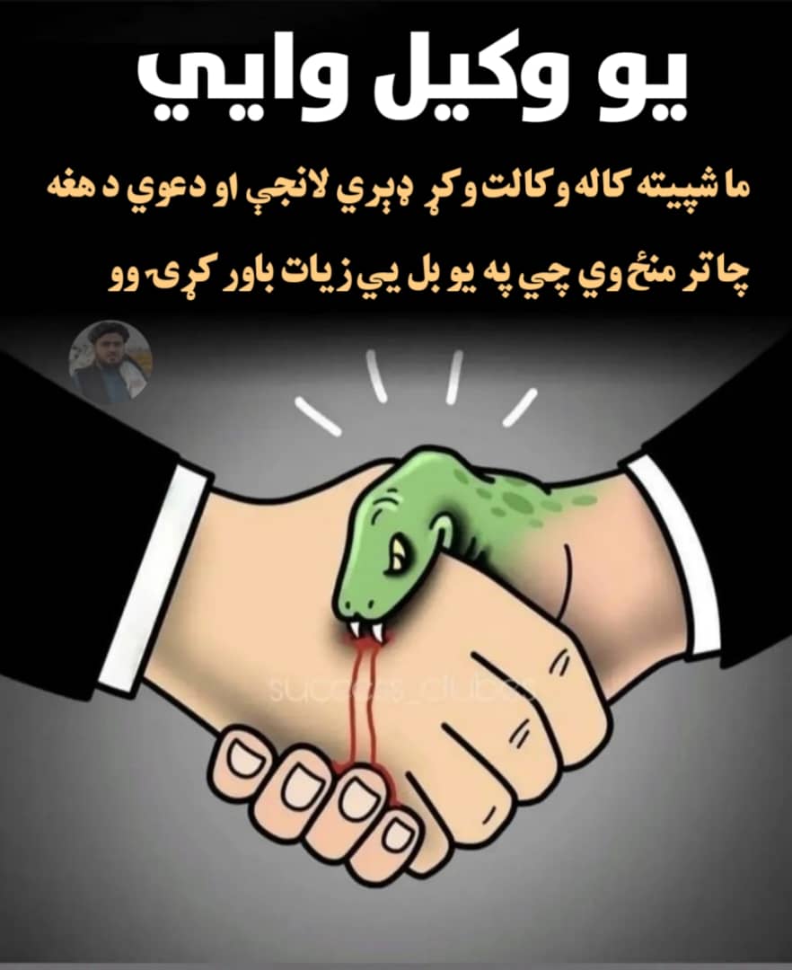 محمدشعیب tweet media