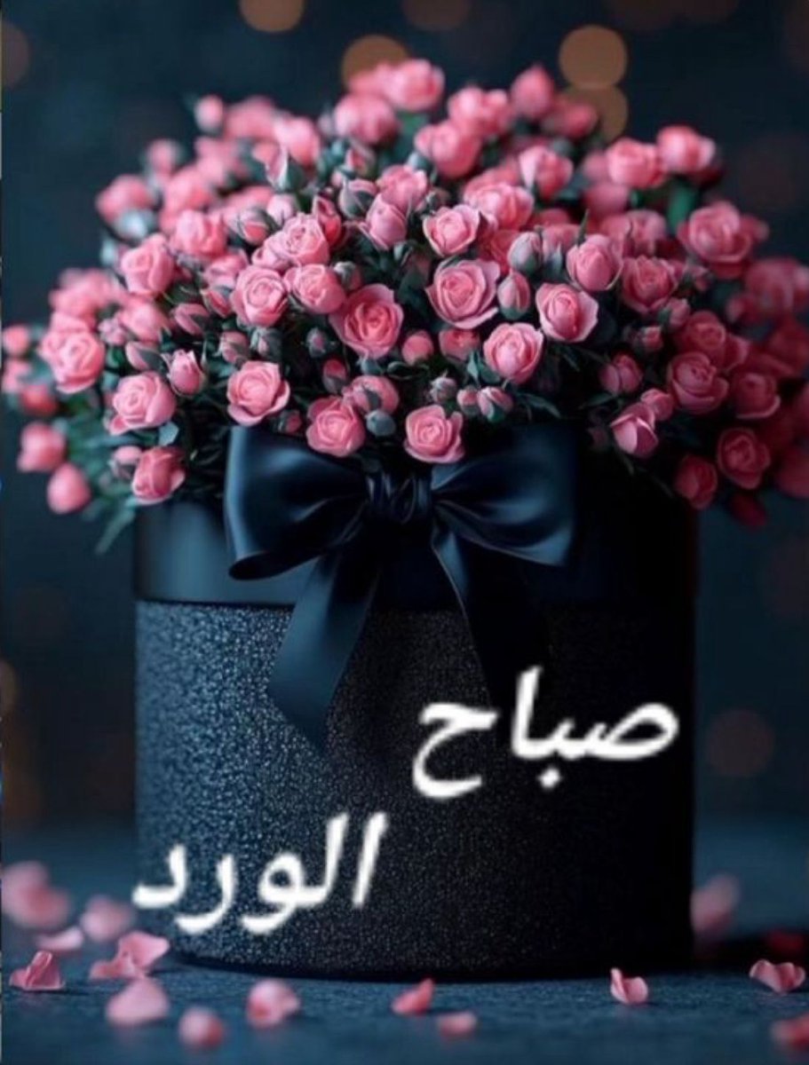 شروق محمود tweet media