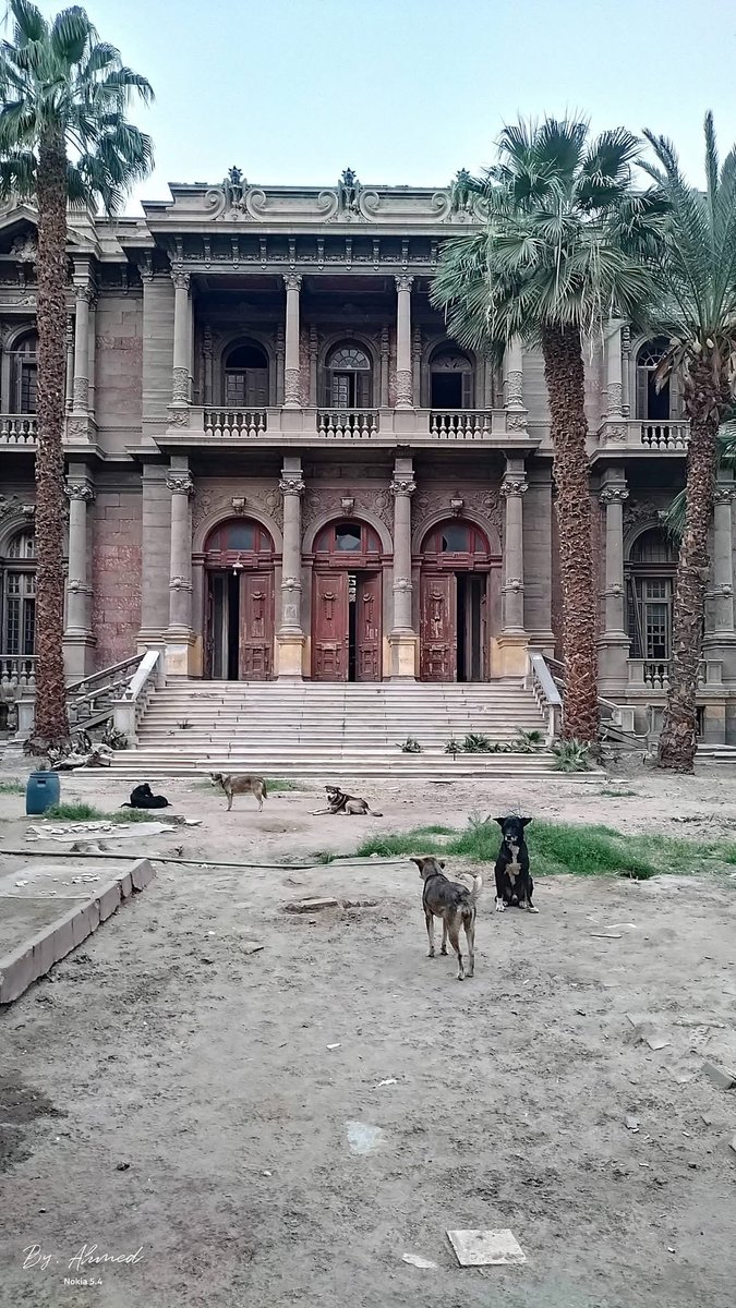 Taghrid 🪅 tweet media