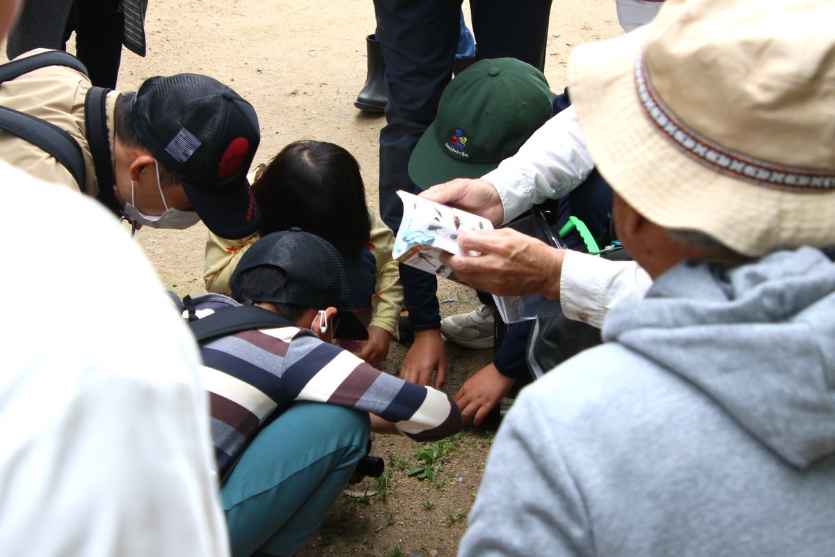 岡山県自然保護センター tweet media