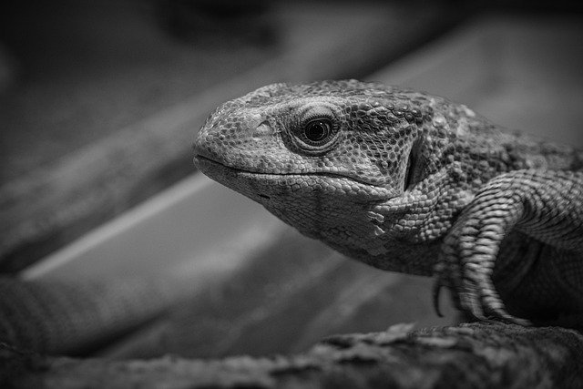 Brandon Matthews tweet media