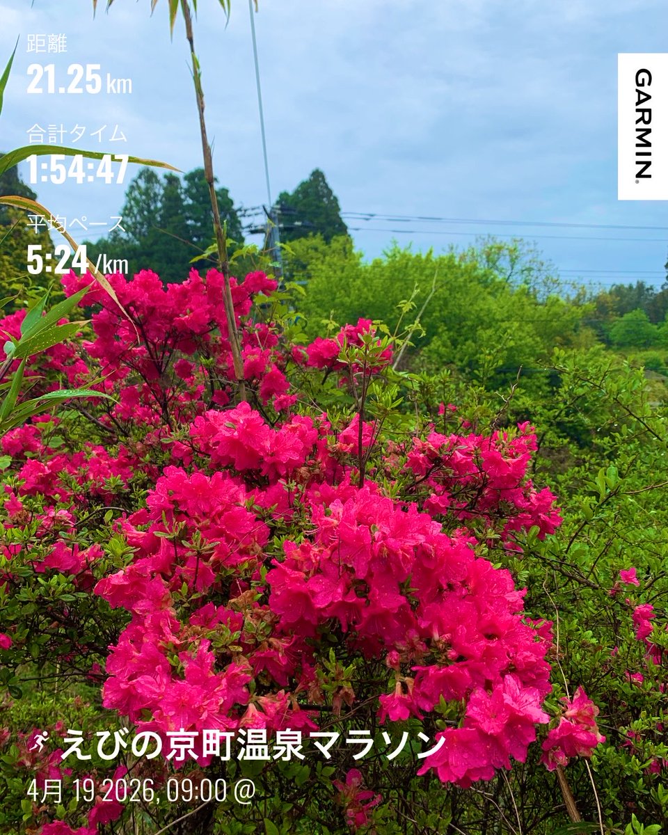 エフディkoiking@えびの、飛騨高山ウルトラ、いわて盛岡 tweet media