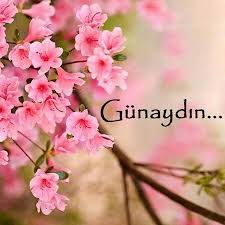 Tvvittter332947's tweet image. Iyi bir pazar gunu dilerim #pazar #istanbul #turkiye #nisan