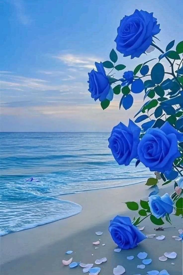 Nmahack's tweet image. Happy Sunday! Go into this day with a grateful heart and a quiet mind. You are capable, you are resilient, and your best days are currently in production. 🥂✨
​#HappySunday