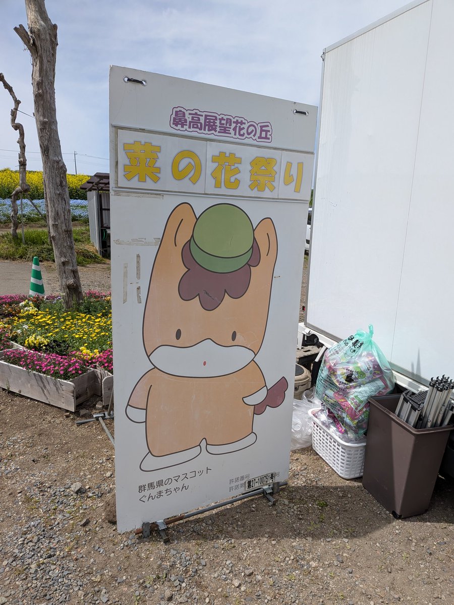 菜の花すげー！🌼