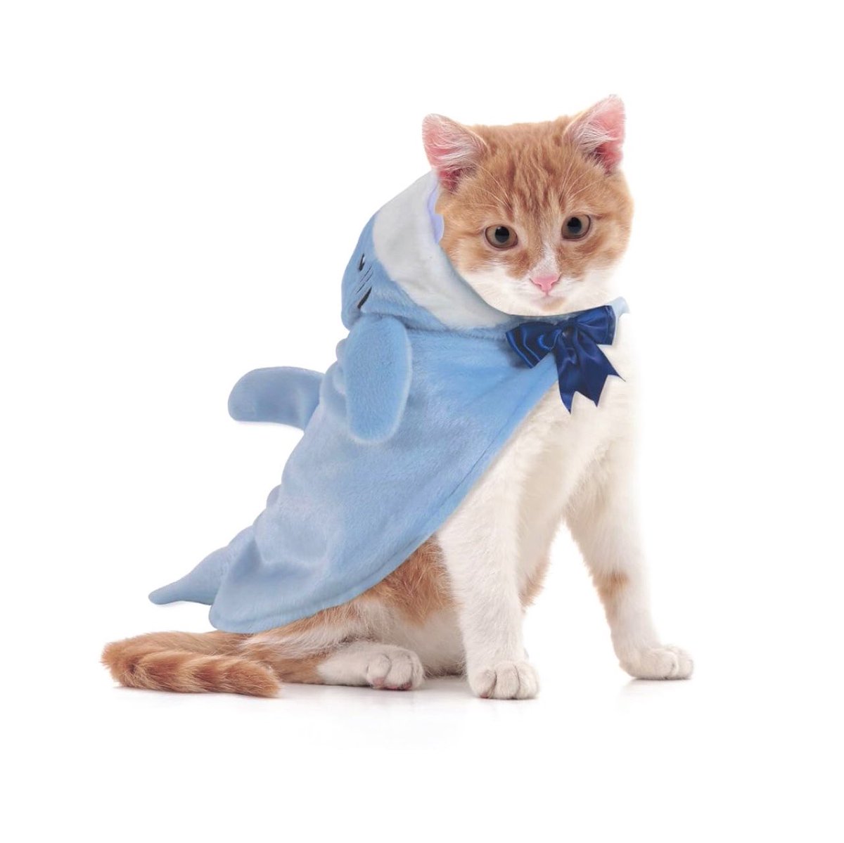 ‎°‧🌷·｡┇Ly ‧₊˚♪ tweet media