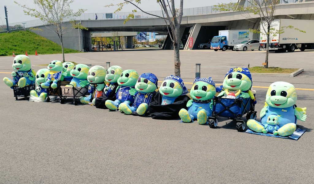 鶏心@ニータンは世界一かわいい🐢 tweet media