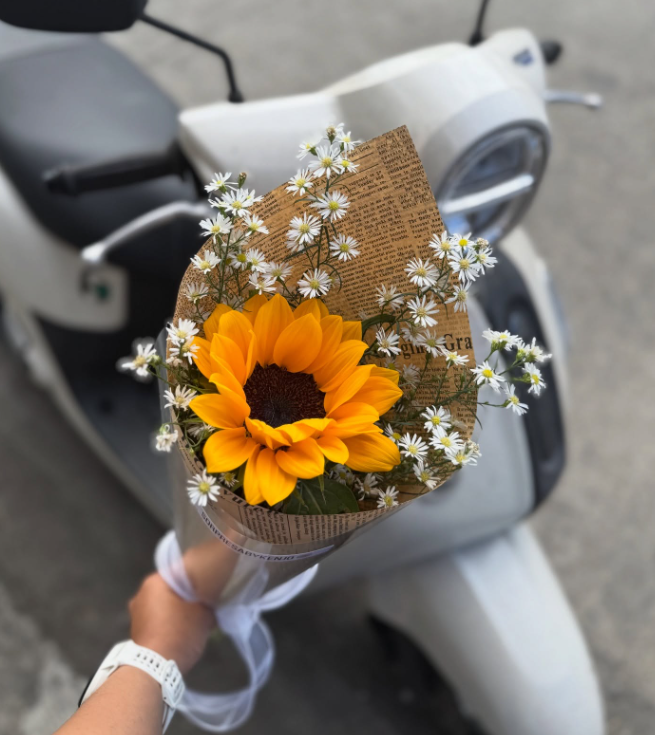 SUNFLOWER 🌻 tweet media