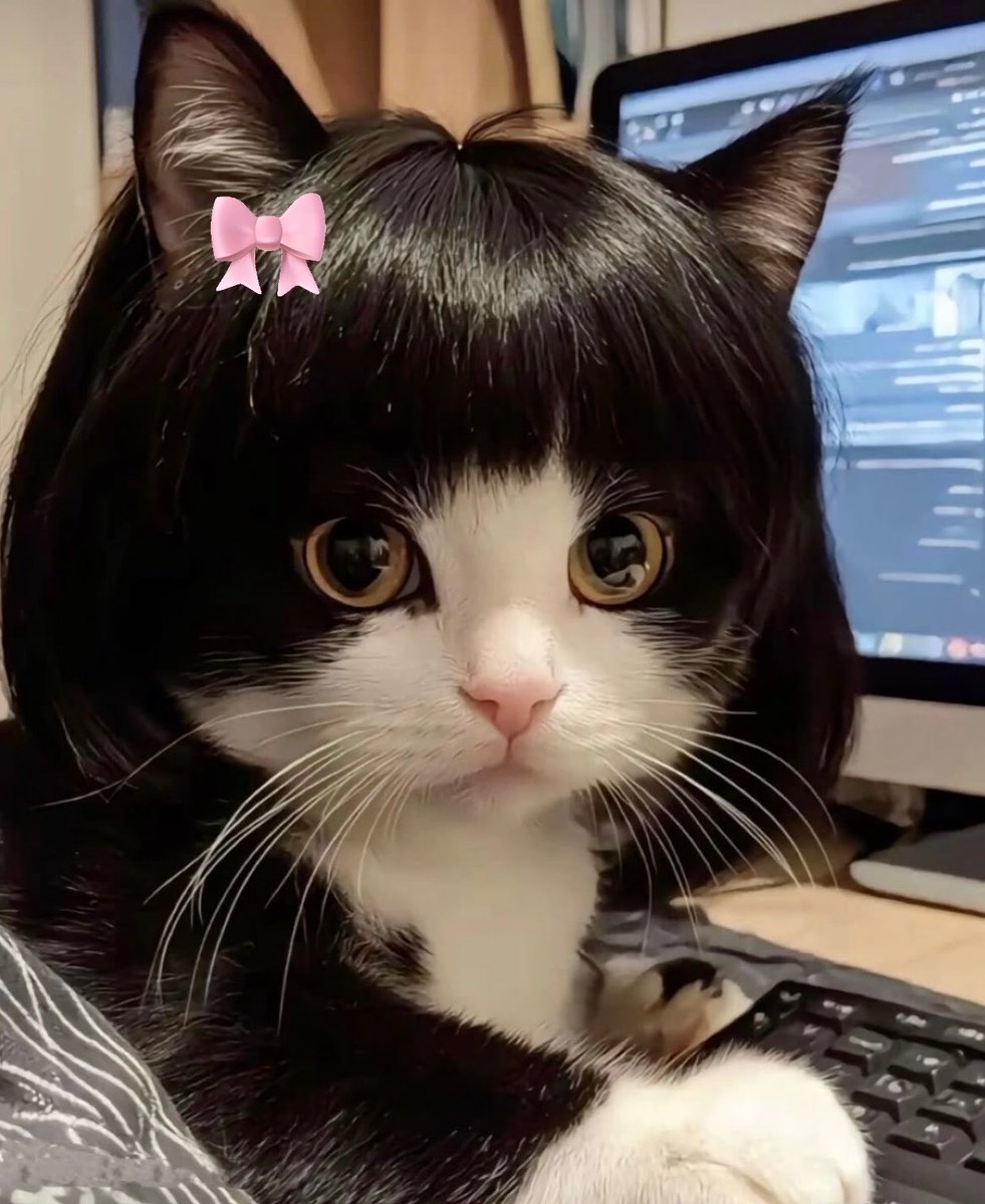 𐙚 𝖻𝖺𝖻𝖾𝑚𝑤! 🩰 tweet media