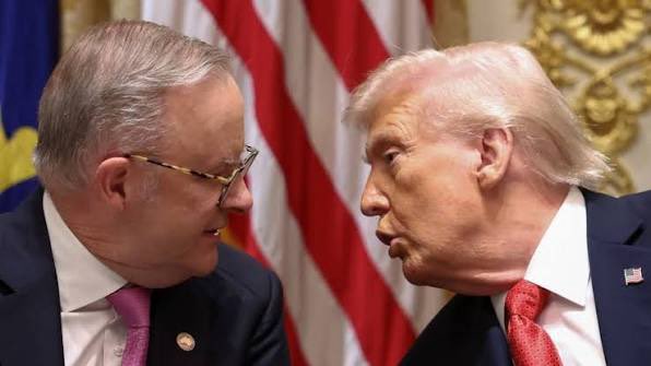 Ryan Dally tweet media