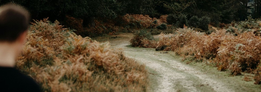 "¡Es verdad, el Señor ha resucitado!" 

👉 Caminamos en la fe, sabedores de que el peregrino desconocido nos acompaña por el camino #EvangelioDeHoy 

⏩ dominicos.org/predicacion/ho…