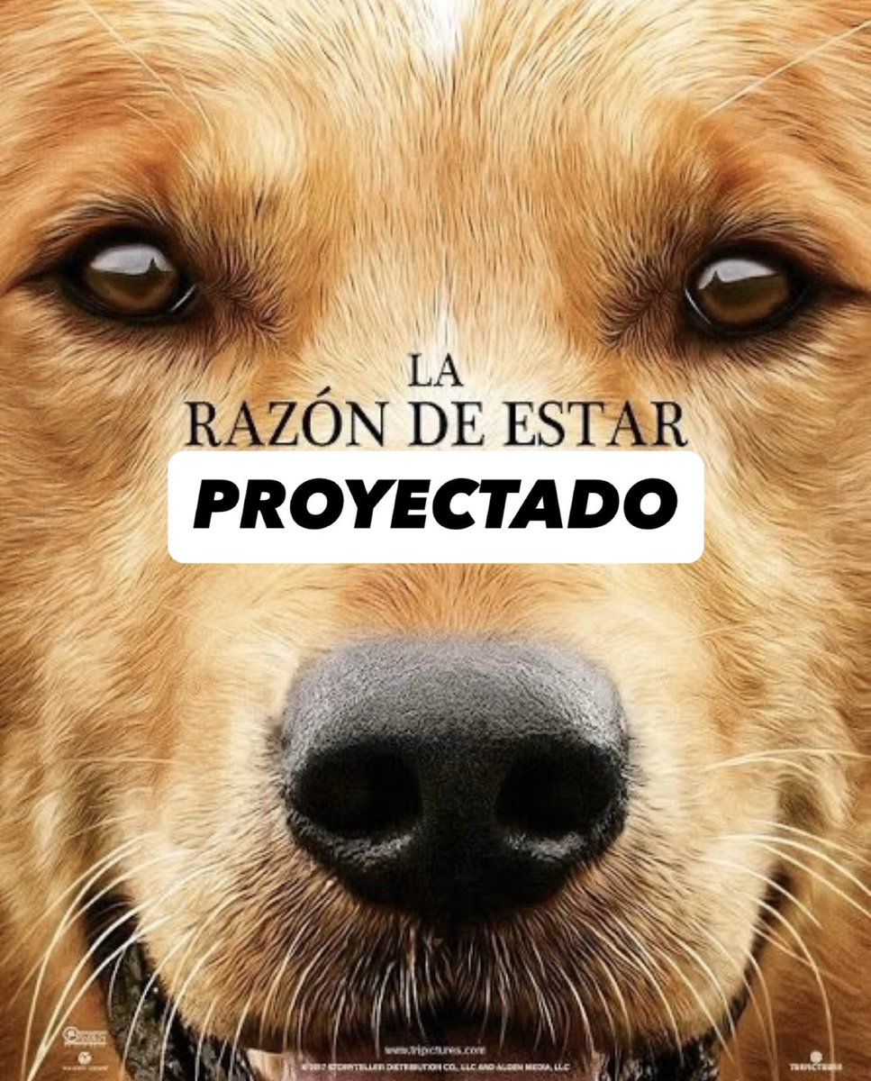 𝐍eu ᶻ 𝗓 𐰁 .ᐟ tweet media