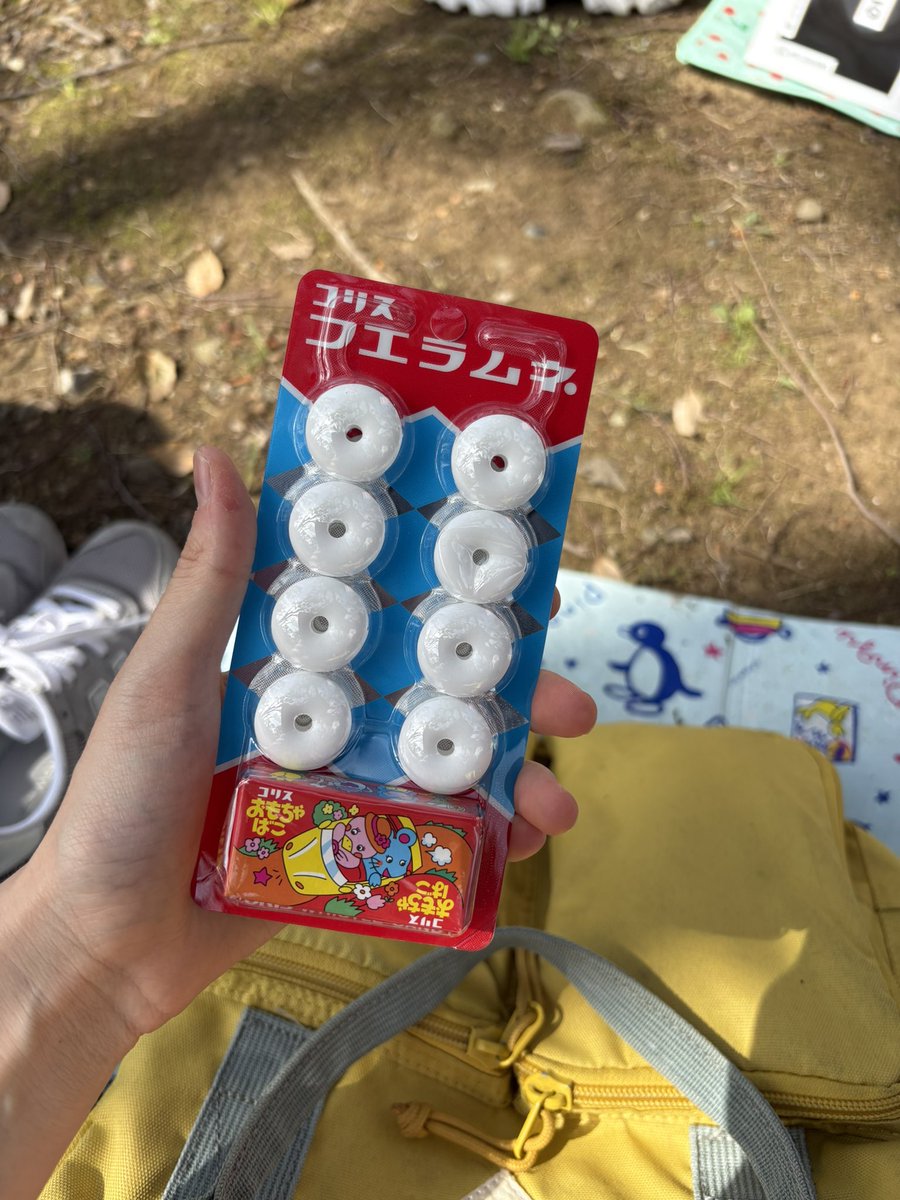 坊や@憲法改悪反対🕊 tweet media