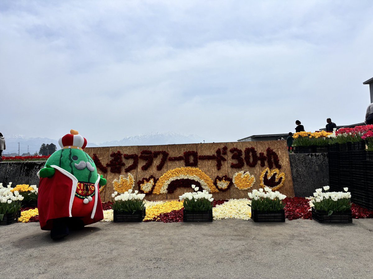 🌷にゅうぜんフラワーロード🌷 tweet media