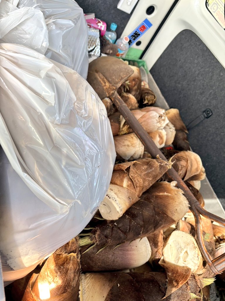 釣り好きオヤジＴ🎣 tweet media