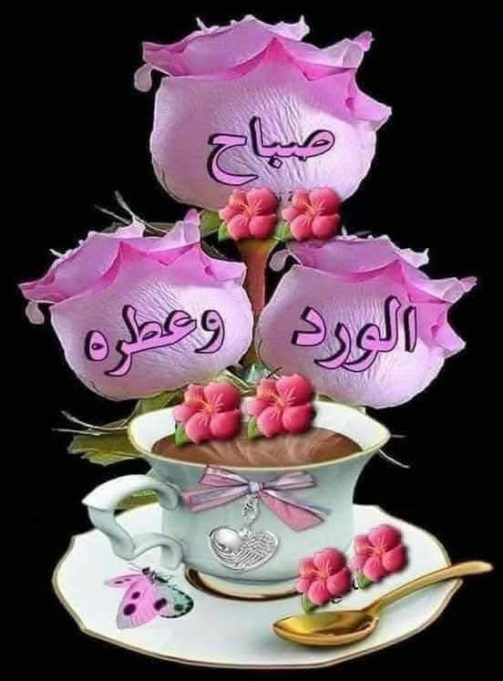 💜Rooh 💜Elbanf$g💜 tweet media