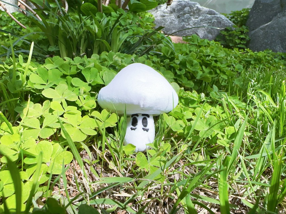 🪡왕멍🧵 tweet media