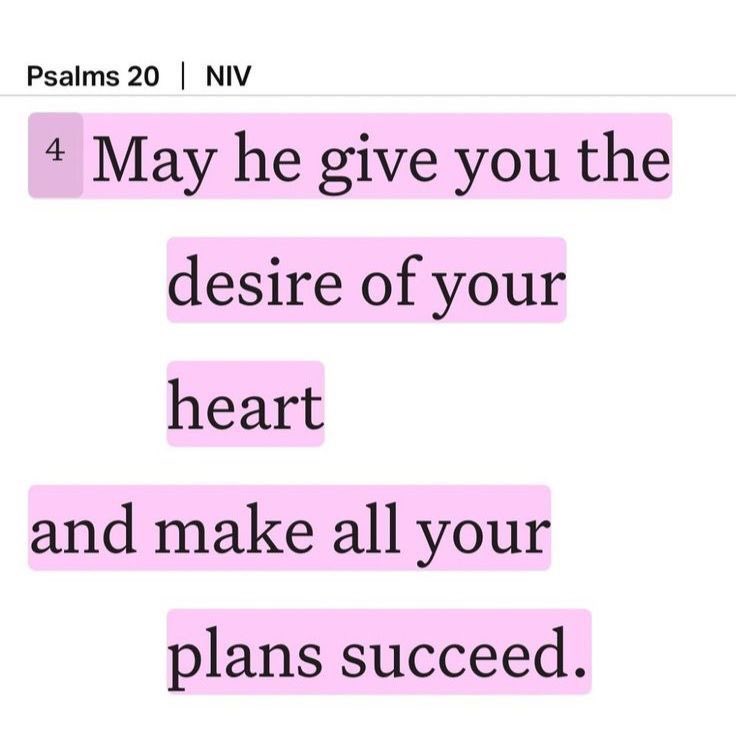 The Soul tweet media