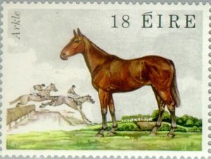 lorraineelizab6's tweet image. Arkle (19 April 1957 Ballymacoll Stud, #Meath-31 May 1970 #Bryanstown #Kildare). Nicknamed "Himself"! Named after Arkle Mt, Scotland; bordered owner's estate. 212, his Timeform rating is highest awarded to a steeplechaser! 'Arkle for President' written on a wall in Dublin! 🏇