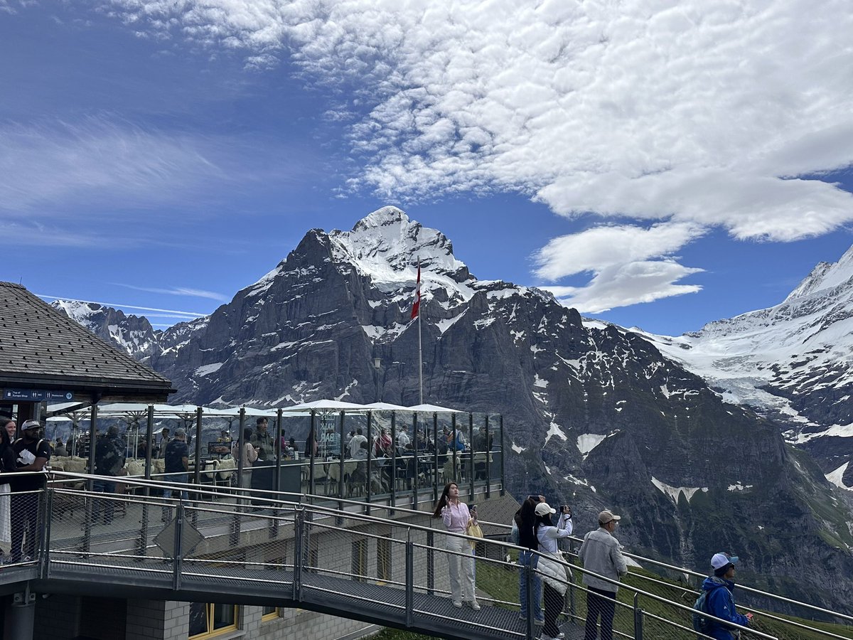 sunshiningirl's tweet photo. Miss Grindelwald much? Time to buy a flight 😝 https://t.co/dFXGbh99xn